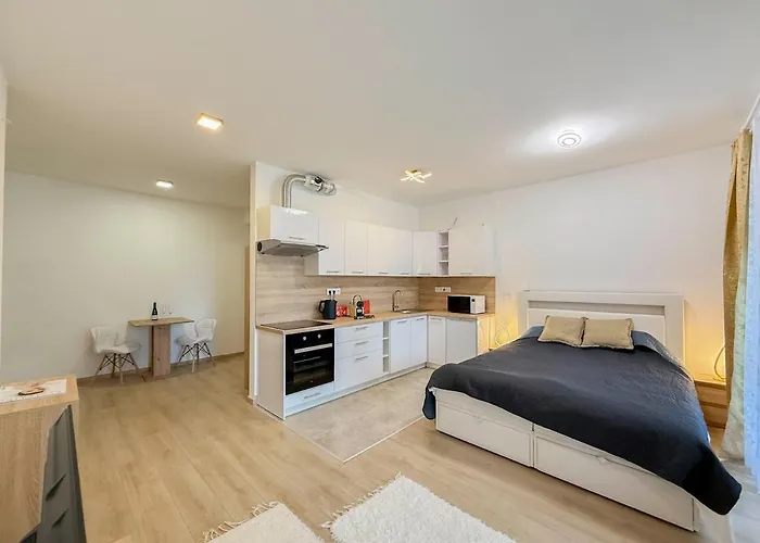 River Danube Flat W Balcony And Free Guarded Parking Lägenhet